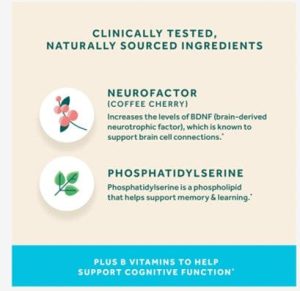 Neuriva Plus. Brain Health Supplement with Coffee Cherry Extract & Phosphatidylserine